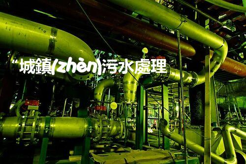 “城鎮(zhèn)污水處理規(guī)劃：綠色以后，清潔家園新篇章”